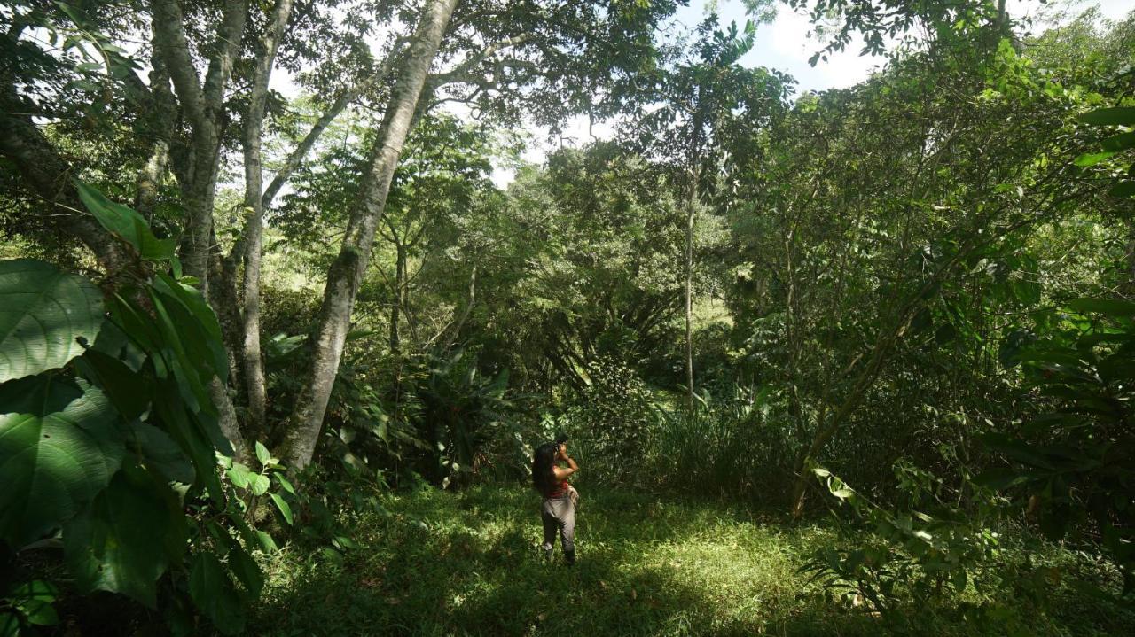 Finca La Argelia Кимбая Екстериор снимка